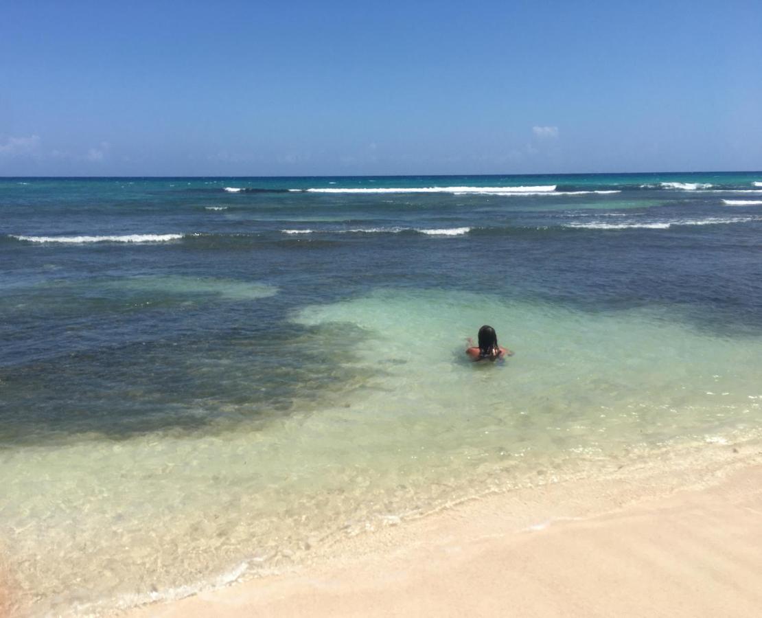 African Symbol Guest House Montego Bay Luaran gambar